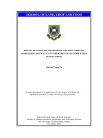 effects of artificial amendments in potting media on orthosiphon aristatus (cat’s whiskers) lants under water deficit stress