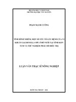 tình hình nhiễm, một số yêu tố gây bệnh của vi khuẩn salmonella spp. ở bò nuổi tại tỉnh kon tum và thử nghiệm phác đồ điều trị