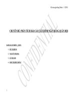 PHÂN TÍCH BÁO CÁO TÀI CHÍNH NGÂN HÀNG QUÂN ĐỘI