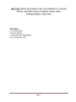 PHÂN TÍCH BÁO CÁO TÀI CHÍNH CỦA NGÂN HÀNG THƯƠNG MẠI CỔ PHẦN XĂNG DẦU PETROLIMEX NĂM 2012