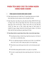PHÂN TÍCH BÁO CÁO TÀI CHÍNH NGÂN HÀNG NAM Á BANK