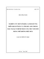 Nghiên cứu một số khía cạnh đáp ứng miễn dịch tế bào và tìm EBV ADN trong máu ngoại vi bệnh nhân ung thư vòm mũi họng thể không biệt hóa