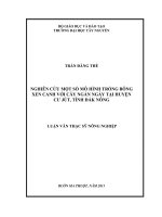 nghiên cứu một số mô hình trồng bông xen canh với cây ngắn ngày tại huyện cư jút, tỉnh đăk nông