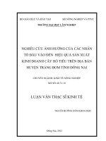 Nghiêu cứu ảnh hưởng của các nhân tố đầu vào đến hiệu quả sản xuất kinh doanh cây hồ tiêu trên địa bàn huyện Trảng Bom tỉnh Đồng Nai