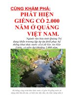 CÙNG KHÁM PHÁ: PHÁT HIỆN GIẾNG CỔ 2.000 NĂM Ở QUẢNG TRỊ VIỆT NAM.