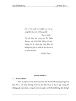 tìm hiểu lịch sử vấn đề, đánh giá yếu tố tục và dâm trong thơ hồ xuân hương