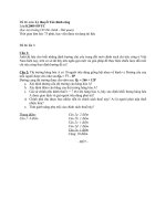 Đề thi môn lý thuyết tài chính công