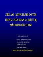 siêu âm doppler mô cơ tim trong chẩn đoán và điều trị mất đồng bộ cơ tim