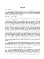 đánh giá Hàm lượng kim loại nặng Cu, Pb, Zn trong nước