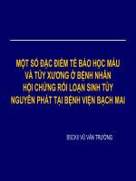 một số đặc điểm tế bào học máu và tủy xương ở bệnh nhân hội chứng rối loạn sinh tủy nguyên phát tại bệnh viện bạch mai