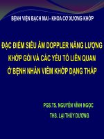 đặc điểm siêu âm doppler năng lượng khớp gối và các yếu tố liên quan ở bệnh nhân viêm khớp dạng thấp