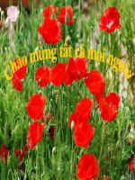 bài giảng tác hại  Ma túy