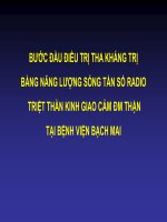 bước đầu điều trị tăng huyết áp kháng trị bằng năng lượng sóng tần số radio triệt thần kinh giao cảm động mạch thận tại viện tim mạch việt nam