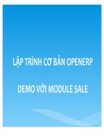 lập trình cơ bản openerp demo với module sale