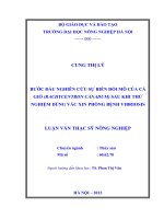 Bước đầu nghiên cứu sự biến đỏi mô của cá giò (rachycentron canadum) sau khi thử nghiệm dùng vắc xin phòng bệnh vibriosis