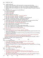 Bài đại cương về nhiễm sắc thế rất hay