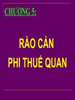 slide bài giảng kinh tế quốc tế rào cản phi thuế quan