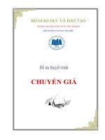 Tiểu luận môn Quản trị doanh nghiệp Đề tài Chuyển Giá