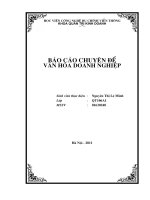 Báo cáo chuyên đề Văn hóa doanh nghiệp: Trình bày biểu hiện Văn hóa doanh nghiệp Bưu điện thành phố Hà Nội
