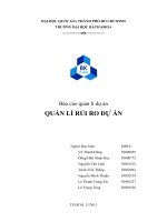 BÁO CÁO QUẢN LÝ DỰ ÁN QUẢN LÝ RỦI RO DỰ ÁN