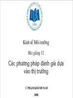 slide kinh tế môi trường _ bài giảng 12 - các phương pháp đánh giá dựa vào thị trường