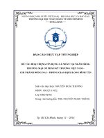 HOẠT ĐỘNG TÍN DỤNG CÁ NHÂN TẠI NGÂN HÀNG THƯƠNG MẠI CỔ PHẦN KỸ THƯƠNG VIỆT NAM –  CHI NHÁNH ĐỒNG NAI – PHÒNG GIAO DỊCH LONG BÌNH TÂN