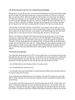 vấn đề bán phá giá ở việt nam với cơ hội kinh doanh bình đẳng