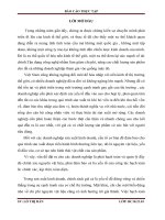 Hoàn thiện công tác kế toán nguyên vật liệu tại Công ty TNHH Thương mại dịch vụ và Xây dựng Đức Hà