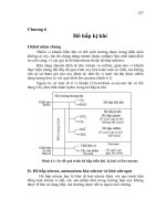 Giáo trình về hô hấp kỵ khí