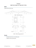 thiết kế sơ bộ cầu treo dây võng