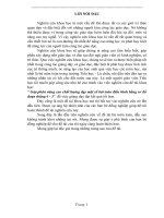 skkn góp phân nâng cao chất lượng dạy một số bài toán điển hình bằng sơ đồ đoạn thẳng 4   5