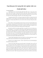 Hoạt động tạo hình sáng kiến kinh nghiệm mầm non