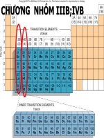 bài giảng nhóm IIIB trong bảng hệ thống tuần hoàn