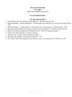 Thiết kế cầu thép nâng cao