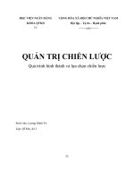 ĐỀ TÀI: Quá trình hình thành và lựa chọn chiến lược