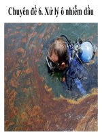 Xử lý ô nhiễm dầu trong nghành dầu khí