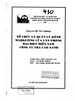 ĐỀ TÀI: Tổ chức và quản lý kênh Marketing của văn phòng đại diện miền nam công ty trà Cao Xanh