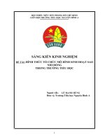 Hình thức tổ chức mô hình sinh hoạt sao nhi đồng trong trường tiểu học