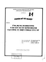 ĐỀ TÀI: Ứng dụng marketing vào sản xuất kinh doanh tại công ty điện thoại tay TP