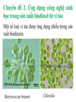 Ứng dụng công nghệ sinh học trong sản xuất biodiesel từ vi tảo