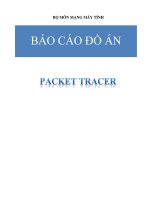 báo cáo đồ án pakret tracer