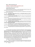 Tiểu luận quản trị nguồn nhân lực Chiến lược Đại dương xanh