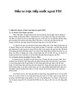 Đầu tư trực tiếp nước ngoài  FDI, lý thuyết và thực tiễn tại Việt Nam