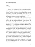 ĐỀ TÀI: Môi trường và chiến lược kinh doanh của công ty Việt Hà