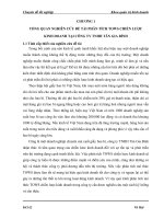 Phân tích TOWS chiến lược kinh doanh tại công ty TNHH tân gia bình (1)