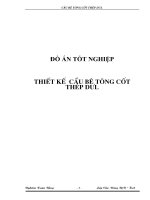 đồ án tốt nghiệp thiết kế  cầu bê tông cốt thép dưl