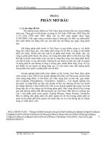 ĐỀ TÀI: Định hướng việc phát triển kênh phân phối cho các công ty ở VIỆT NAM