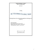 xây dựng nhà máy xử lý rác thải và chế tạo phân hữu cơ chất lượng cao từ rác hữu cơ