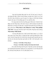 ĐỀ TÀI: Chiến lược chiếm lĩnh thị trường trong nước của tổng công ty máy động lực và máy nông nghiệp Việt Nam