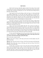 ĐỀ TÀI: Một số giải pháp nâng cao lợi nhuận của công ty cổ phần thiết bị bưu điện HÀ NỘI